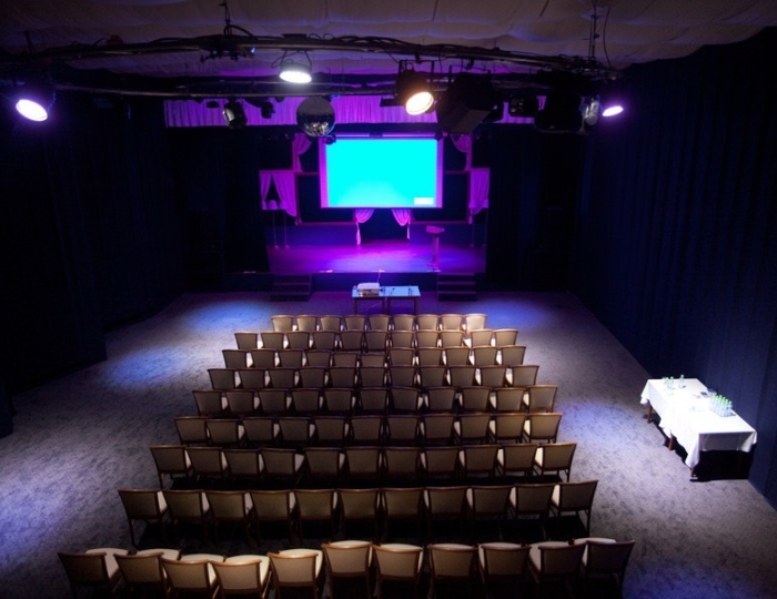 Киноконцертный зал - Отель Солнечный Park Hotel SPA Подмосковье