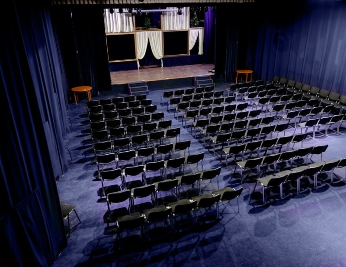 Киноконцертный зал - Отель Солнечный Park Hotel SPA Подмосковье