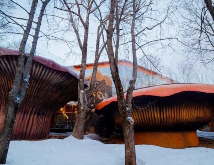 Отель «Солнечный Park Hotel & SPA»