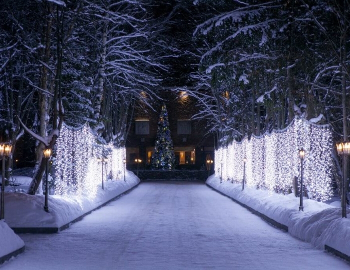 Отель «Солнечный Park Hotel & SPA»
