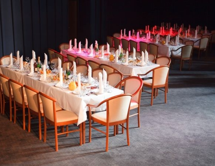 Киноконцертный зал - Отель Солнечный Park Hotel SPA Подмосковье