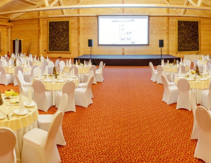 Зал «Шишка» - Отель Солнечный Park Hotel SPA Подмосковье